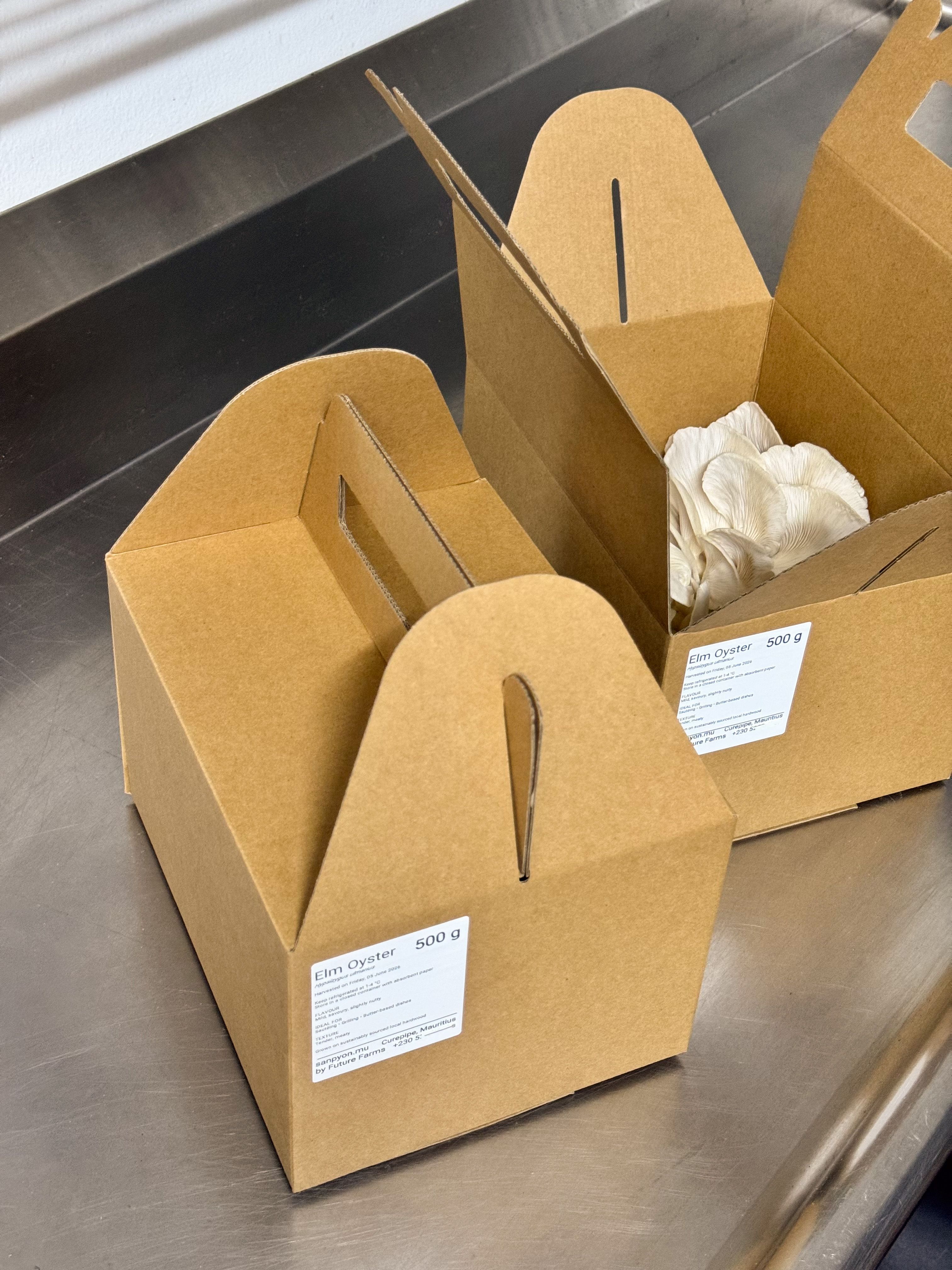 Sanpyon 500g Elm Oyster sample box on a stainless steel surface